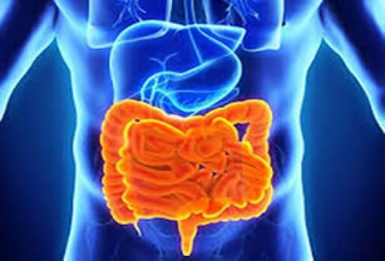 Del lactante al adulto mayor, científicos detectan 53 tipos de trastornos funcionales intestinales