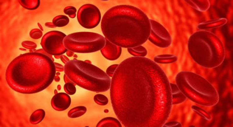 En México, el 29% de mujeres en edad reproductiva padecen anemia