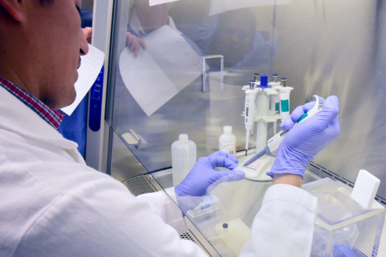 Ni hospitales ni laboratorios impedidos para detectar coronavirus, si se apegan a los lineamientos técnicos y normativos