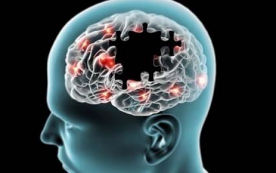 Estudian interacciones metal-proteína en el desarrollo de las enfermedades degenerativas