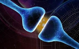 Estudian células que podrían detener la progresión de la enfermedad de Parkinson