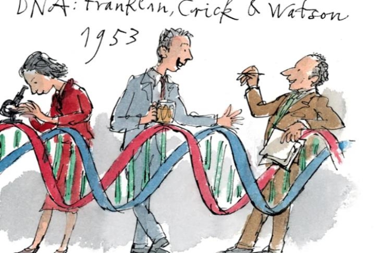 70 aniversario del ícono de la biología: la doble hélice del ADN