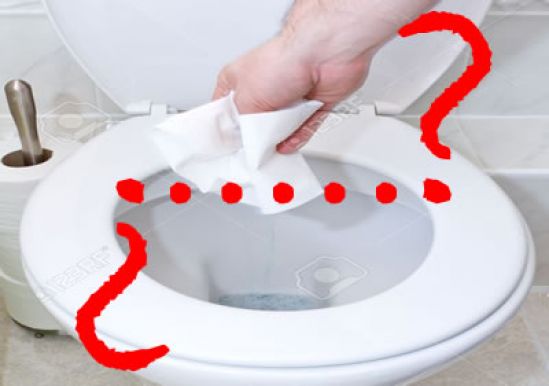 Una decisión de higiene: ¿el papel de baño en el inodoro o al bote de basura?