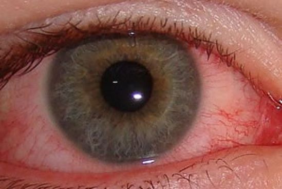 Investigadores del Cinvestav diseñan juego para el uso de tecnología avanzada por débiles visuales 
