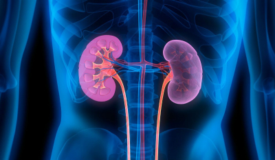 Daño renal, una de las principales secuelas del COVID-19
