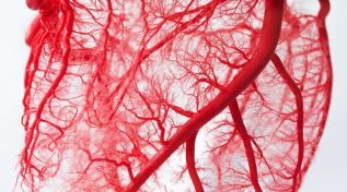Transfusiones de sangre seguras gracias a la innovación y buenas prácticas en el manejo de la sangre