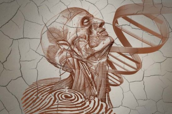 Medicina restaura y rehidrata material biológico humano