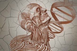 Medicina restaura y rehidrata material biológico humano