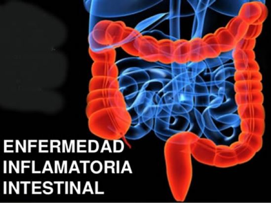 ¿Sabías que tu intestino es tu segundo cerebro?