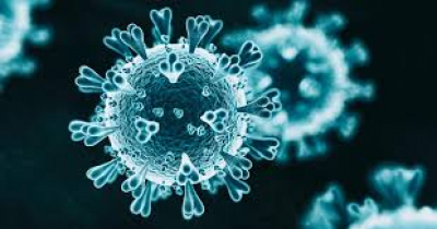 Ante la COVID-19, medidas de higiene, fundamentales para evitar un contagio