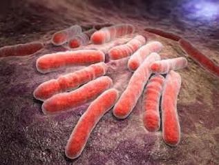 Descartan casos de tuberculosis en integrantes de la caravana migrante