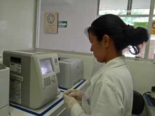 Las células madres tienen utilidad específica