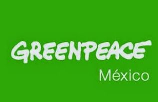 Greenpeace abre centro de acopio