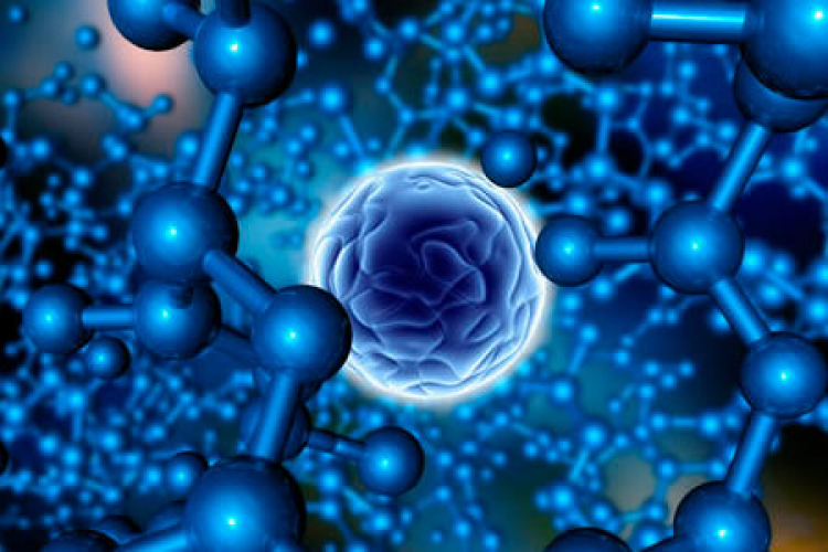 A partir de inteligencia artificial desarrollan plataforma educativa para el cuidado ocular