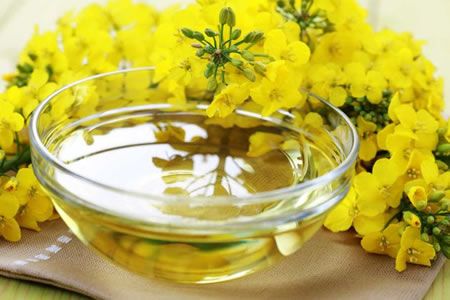 Aceite de Canola puede ayudar a reducir la grasa abdominal y mejorar el síndrome metabólico, según estudio