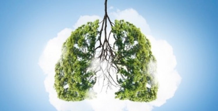 Presenta AstraZeneca primer tratamiento con intención curativa para cáncer de pulmón