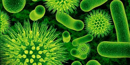 Resistencia antimicrobiana amenaza para la salud mundial