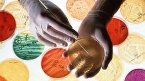 ¿Por qué es importante no tomar antibióticos autorecetados?