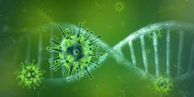 Los virus son genes encerrados en una cápsula de proteína, aislados no causan daño