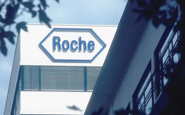 Roche refuerza su compromiso con la comunidad a través de sus actividades de voluntariado