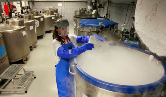 Un donador de tejidos puede llegar a salvar hasta 7 vidas