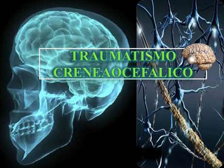 Recomiendan protegerse la cabeza por ser el órgano regulador del cuerpo