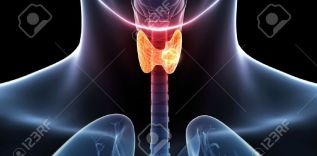 El 90 por ciento de casos de cáncer de tiroides pueden curarse