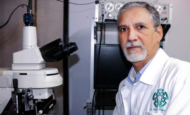 Investigadores del Cinvestav detectan nuevo tipo de comunicación entre neuronas maduras