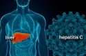 ARTÍCULO :: Avances e innovaciones en los nuevos tratamientos contra la Hepatitis C   