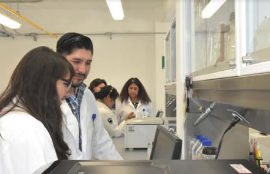 Vanguardia en el diagnóstico y tratamiento de enfermedades cardiovasculares en el INCAR