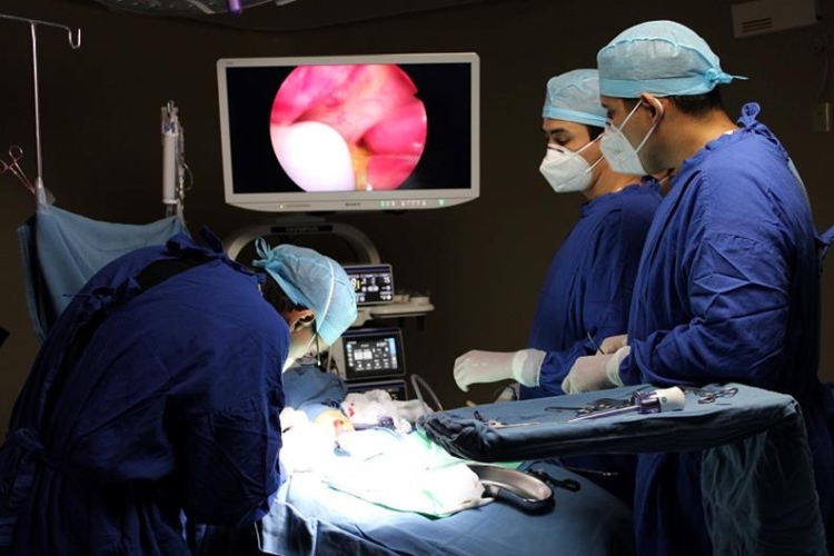 IHM, impulsor de negocios